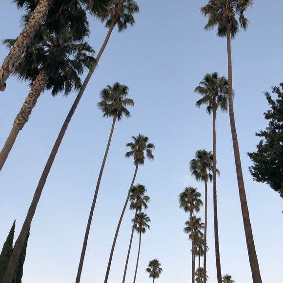 Meet your Posher, Olivia - Picture 1 of 1